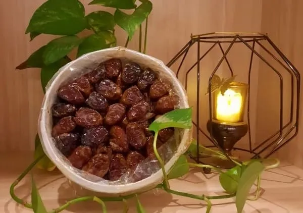 خرید انواع خرما کبکاب سطلی + قیمت