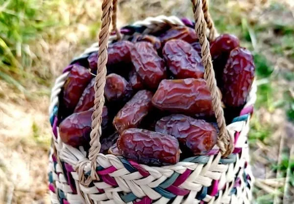 بهترین خرما پیارم حاجی اباد + قیمت خرید عالی