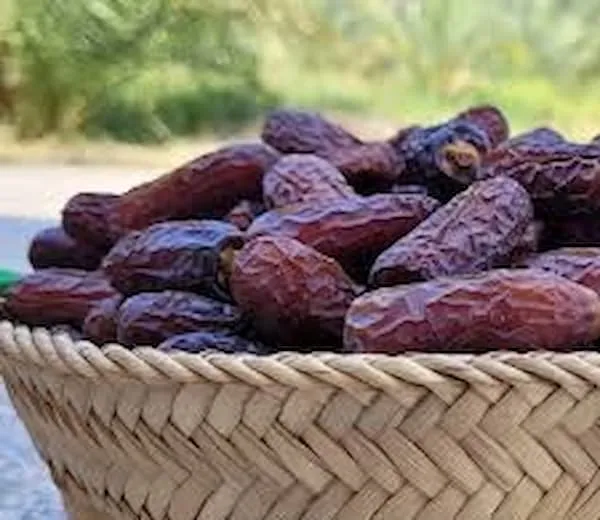 بهترین خرما پیارم حاجی اباد + قیمت خرید عالی