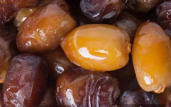 قیمت خرید خرما برحی عسلی + مشخصات، عمده ارزان