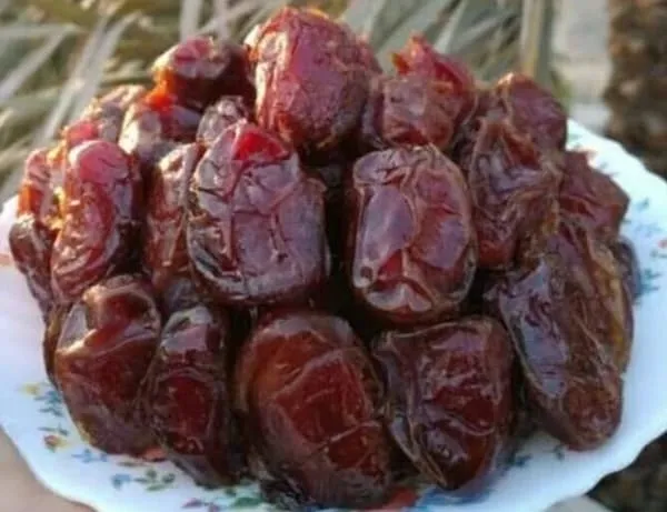 آشنایی با خرما شاهانی + قیمت استثنایی خرید