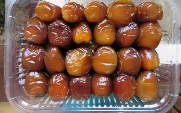 خرید خرما برحی + معرفی کارخانه تولید و عرضه پخش