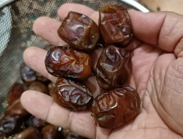 قیمت خرما خلاص + خرید و فروش عمده